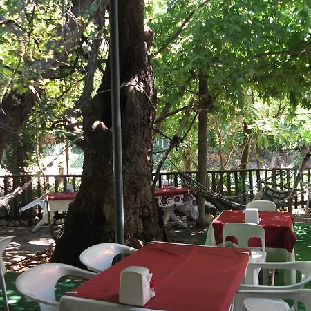 Adrasan Gelidonya Hotel 2* アドラサン