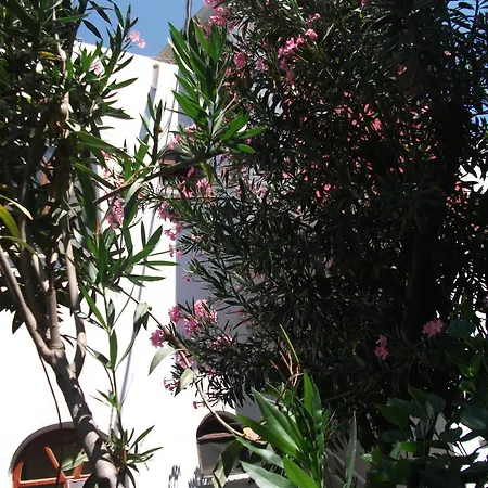 Adrasan Gelidonya Hotel アドラサン