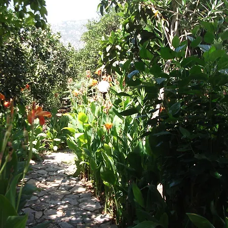 ホテル Adrasan Gelidonya Hotel 2*