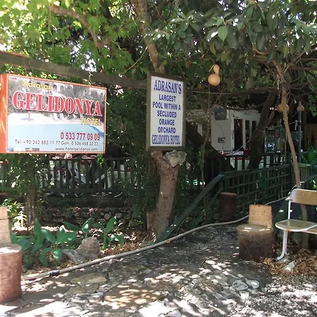 Adrasan Gelidonya Hotel ホテル アドラサン