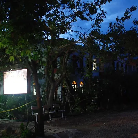ホテル Adrasan Gelidonya Hotel アドラサン